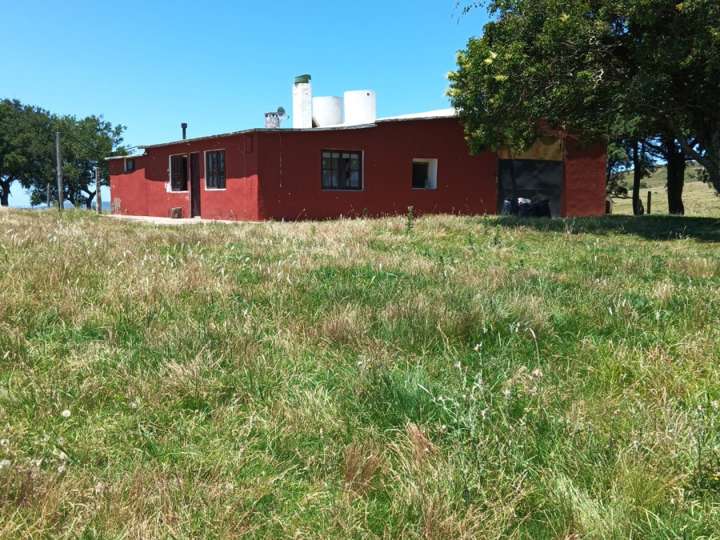 Granja en venta en Rambla General Artigas, Punta Del Este