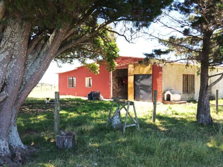 Granja en venta en Rambla General Artigas, Punta Del Este