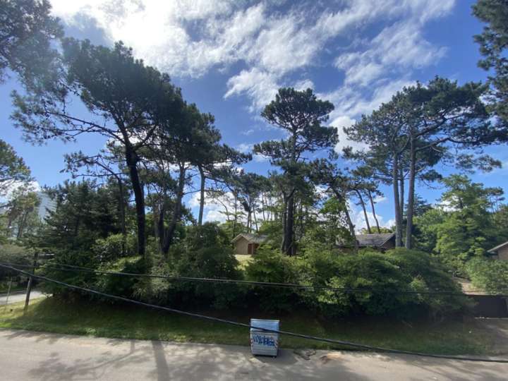 Terreno en venta en Durazno, Maldonado