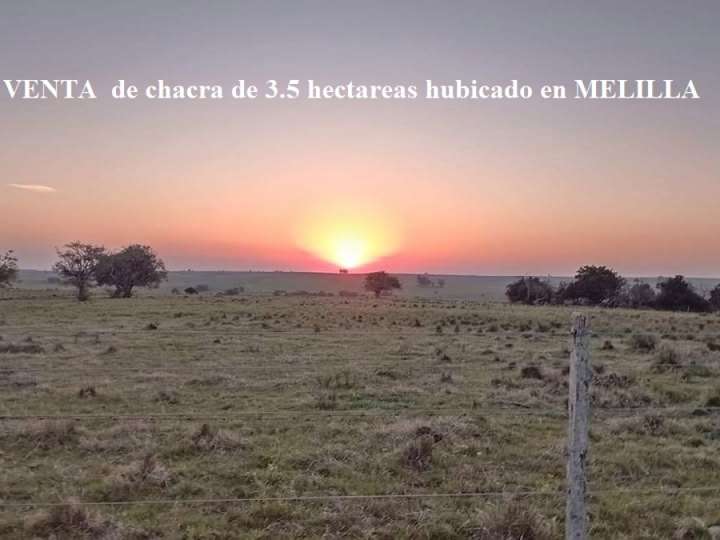 Granja en venta en Servidumbre, Montevideo