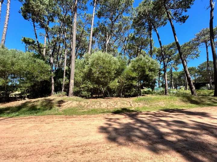 Terreno en venta en Maldonado