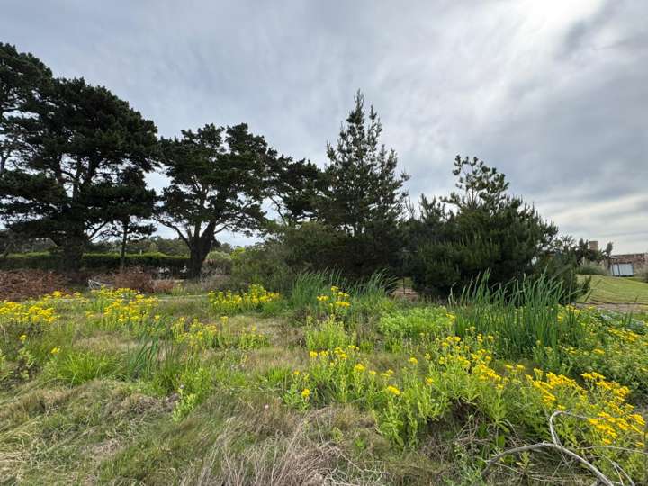 Terreno en venta en Del Cerno, Maldonado
