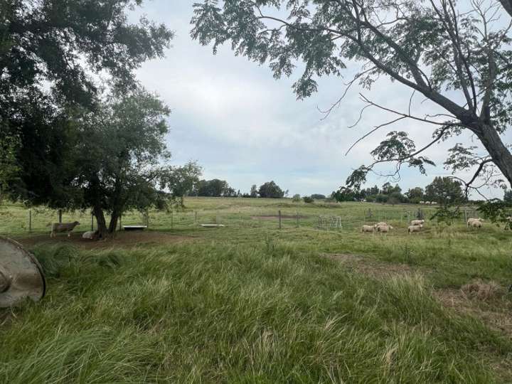 Granja en venta en Canelones