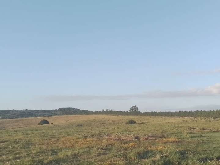 Granja en venta en Camino a Sierra de los Caracoles, Maldonado