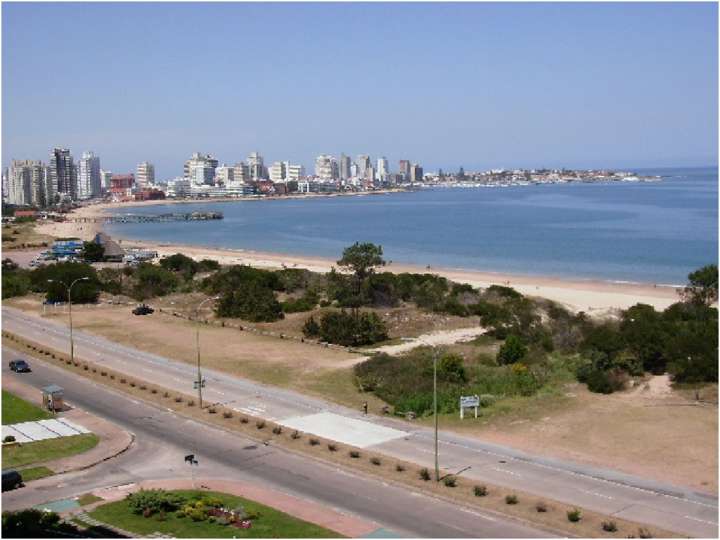 Apartamento en venta en Punta Del Este