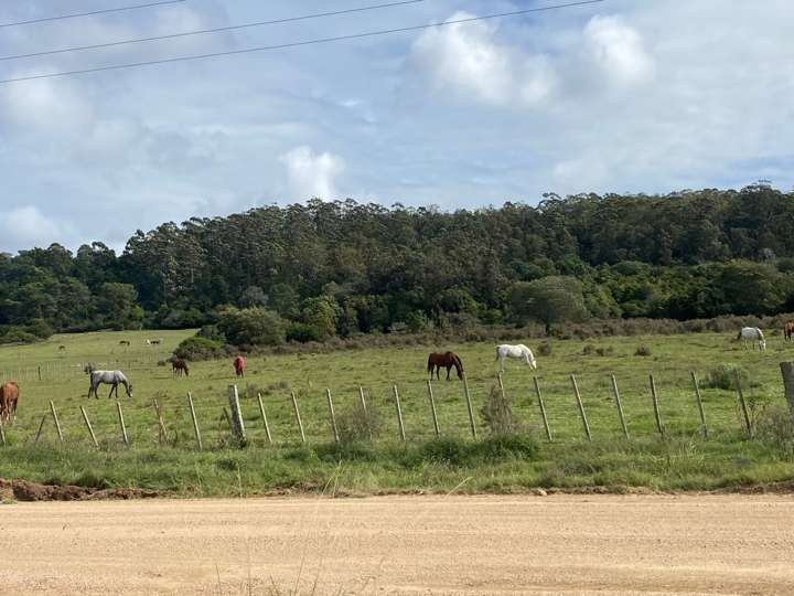 Granja en venta en Maldonado