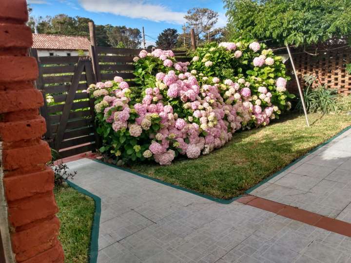 Casa en venta en Maldonado