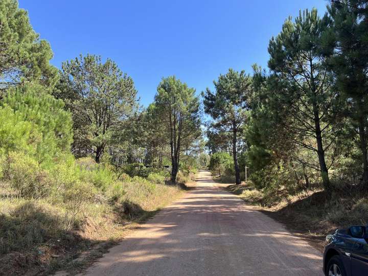 Terreno en venta en Maldonado