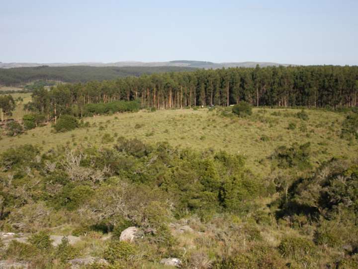 Granja en venta en Maldonado