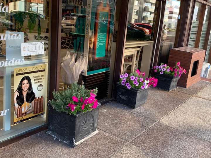 Comercial / Tienda en venta en Maldonado