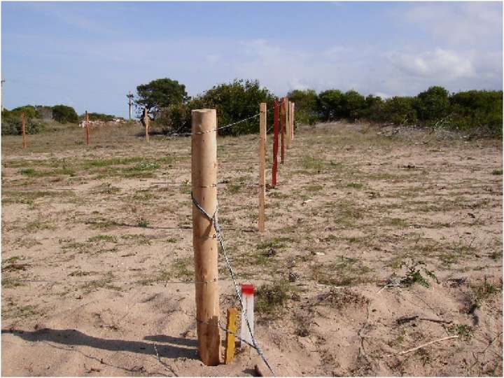 Terreno en venta en Maldonado