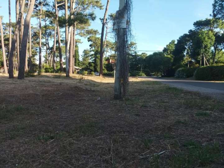Terreno en venta en Pinares, Maldonado