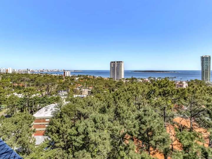 Apartamento en venta en Punta Del Este