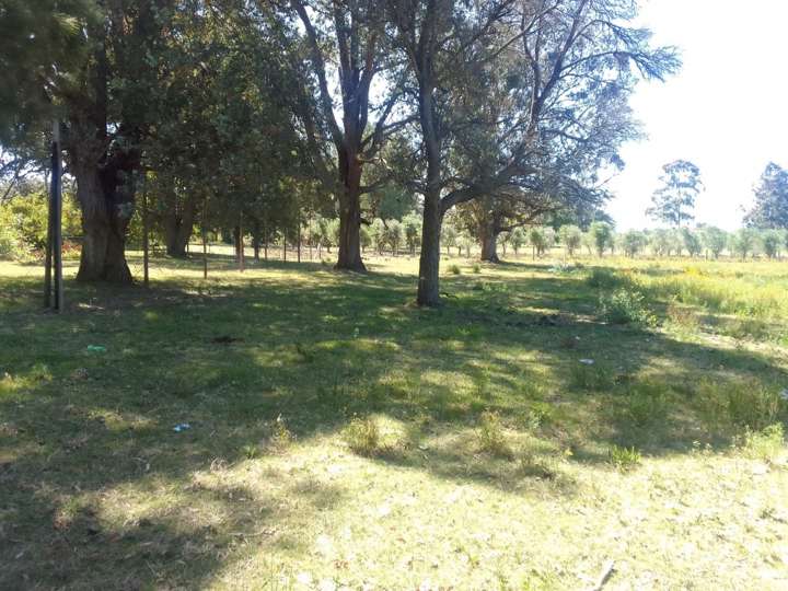 Granja en venta en Las Delicias, Maldonado