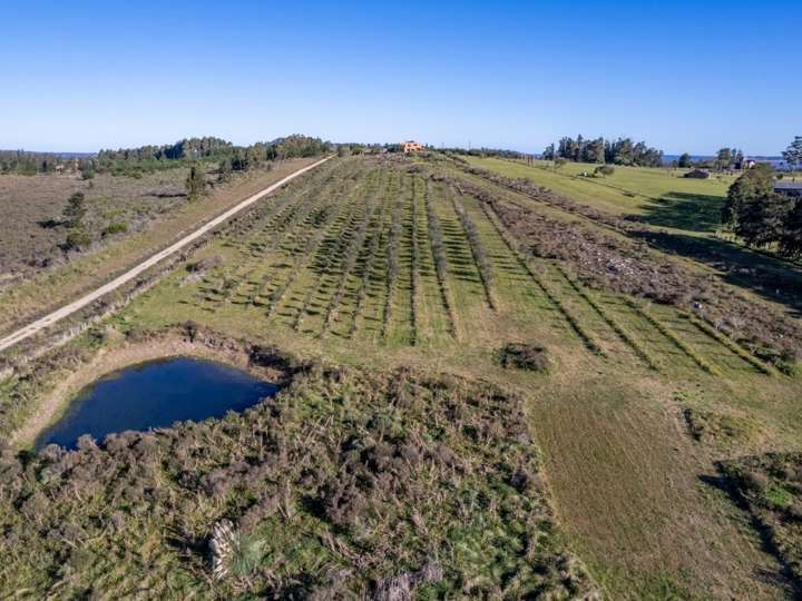Granja en venta en Maldonado
