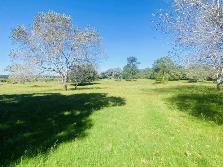 Granja en venta en Pinares, Maldonado
