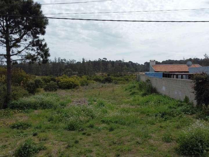 Terreno en venta en Punta Del Este