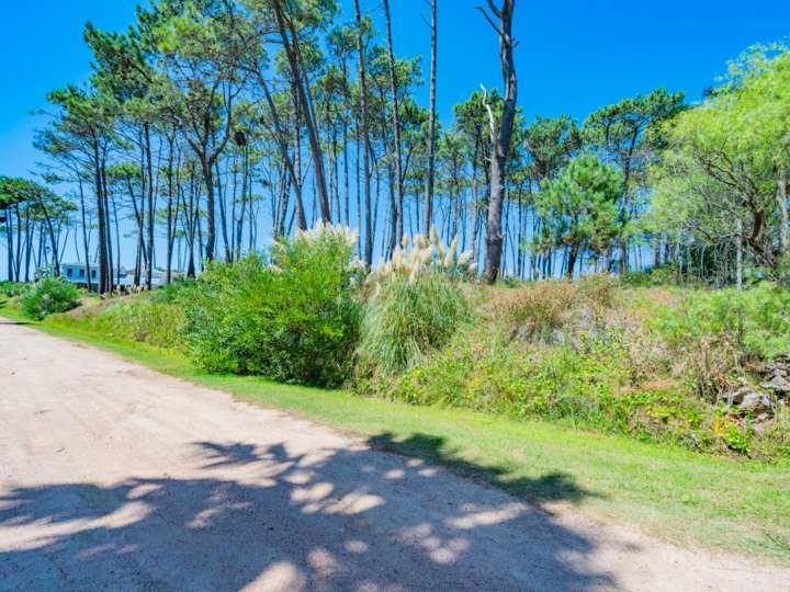 Terreno en venta en Maldonado