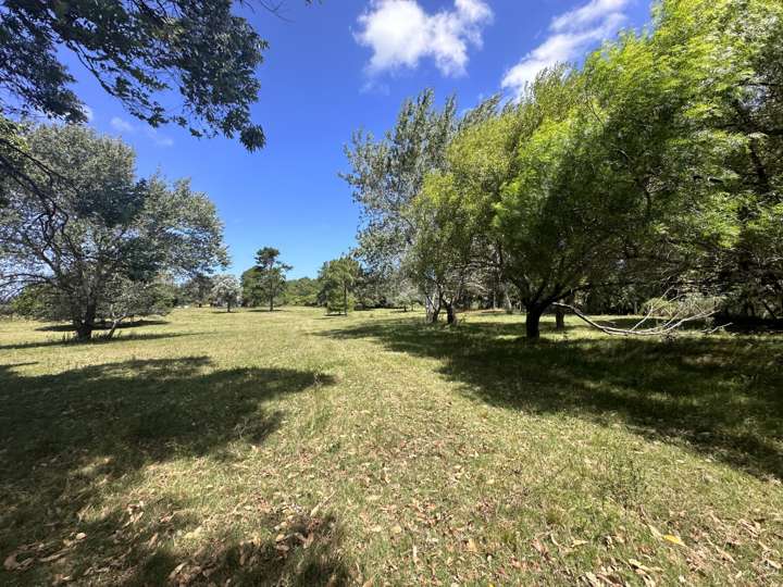 Terreno en venta en Punta Del Este