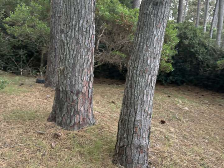 Terreno en venta en Durazno, Maldonado