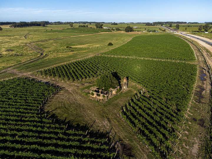 Granja en venta en Maldonado