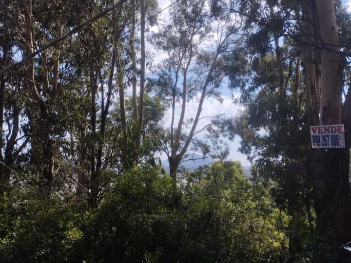 Terreno en venta en Durazno, Maldonado