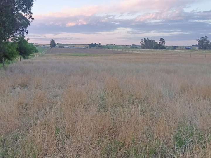Granja en venta en Canelones
