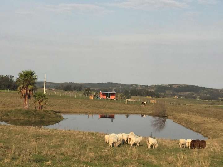Granja en venta en Maldonado