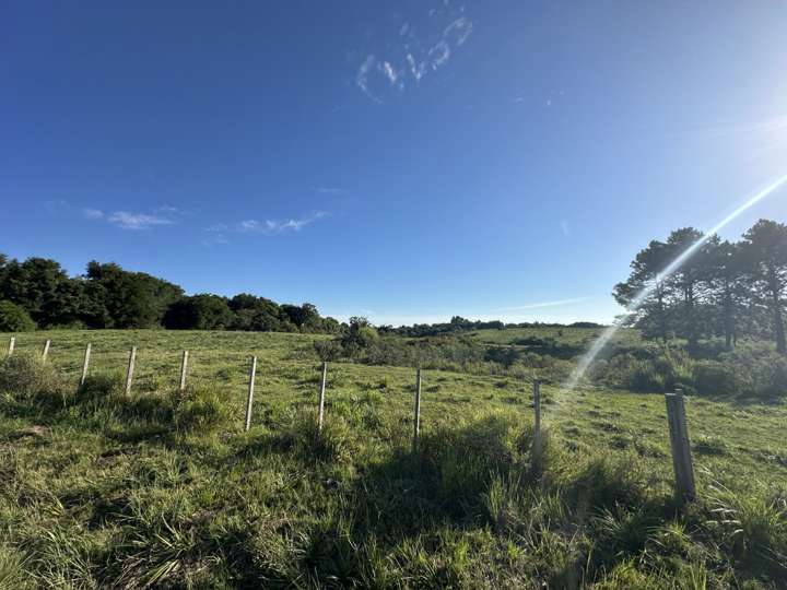 Granja en venta en Rambla General Artigas, Punta Del Este