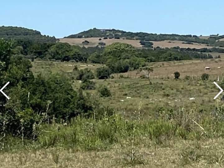 Granja en venta en Rambla General Artigas, Punta Del Este