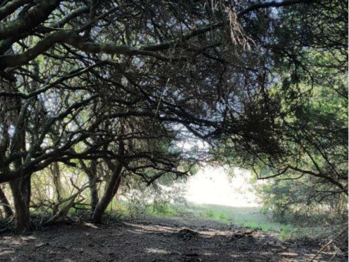 Granja en venta en Las Delicias, Maldonado