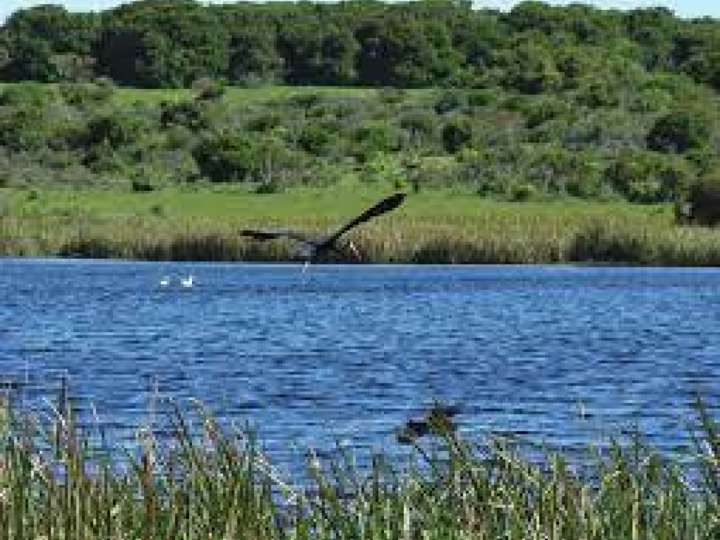 Terreno en venta en Rocha