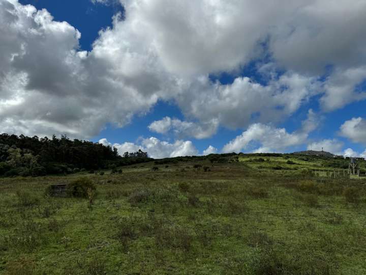 Granja en venta en Rambla General Artigas, Punta Del Este