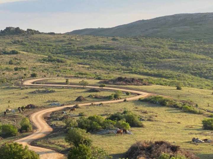 Granja en venta en Rambla General Artigas, Punta Del Este