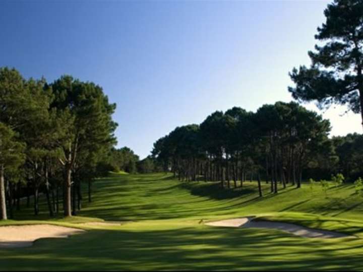 Terreno en venta en Colonia, San Rafael - El Placer