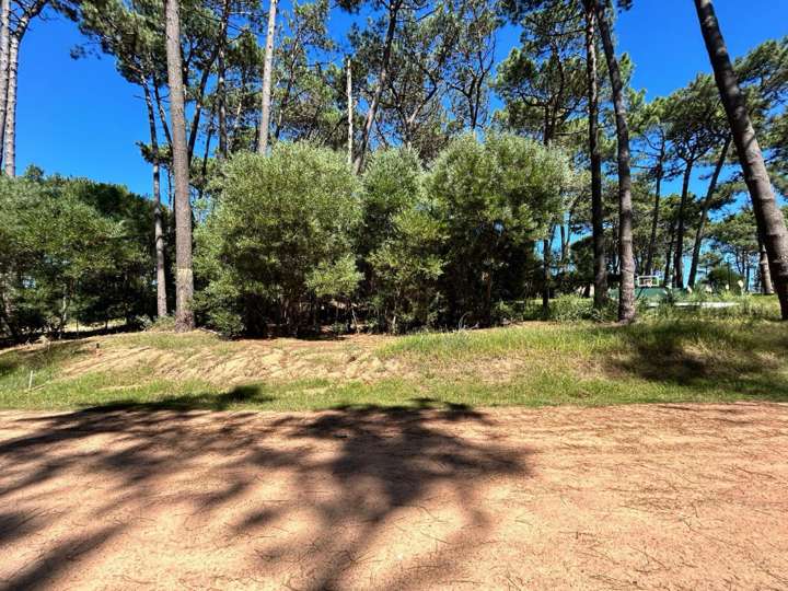 Terreno en venta en Barnby, Maldonado