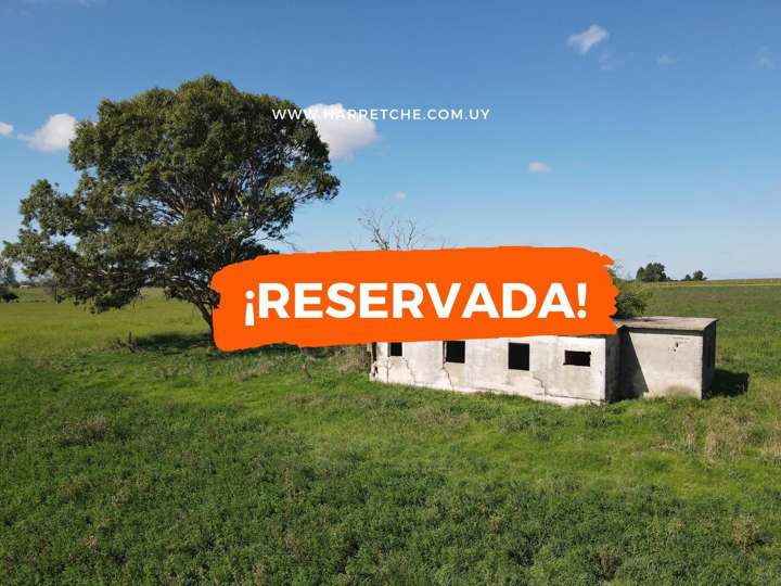 Granja en venta en Vecinal a Paso del Bote, Los Cerrillos