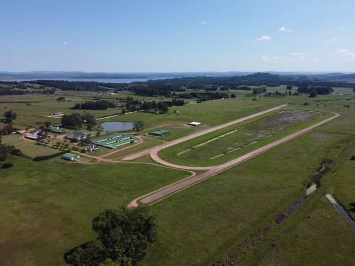 Granja en venta en Avenida Benito Nardone, Maldonado