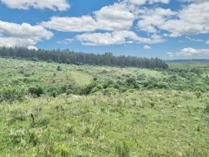 Granja en venta en Rambla General Artigas, Punta Del Este