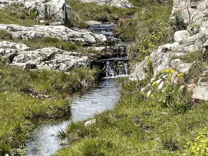 Granja en venta en Maldonado