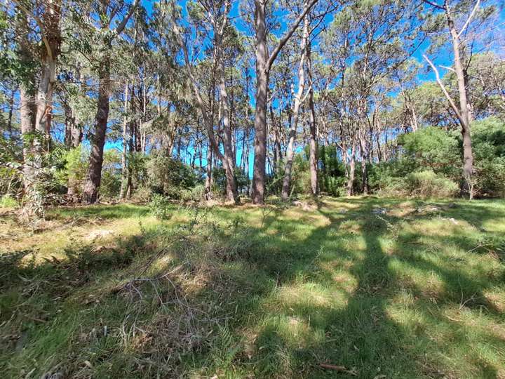 Terreno en venta en Los Castaños, Maldonado
