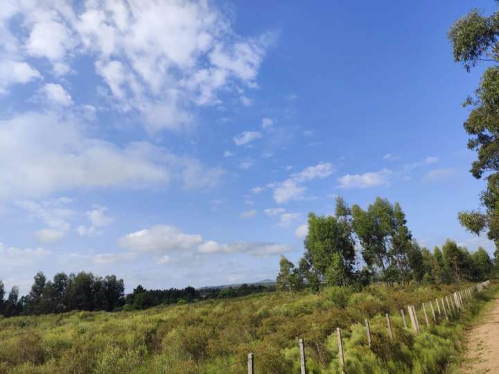 Granja en venta en Rambla General Artigas, Punta Del Este