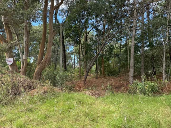 Terreno en venta en Durazno, Maldonado