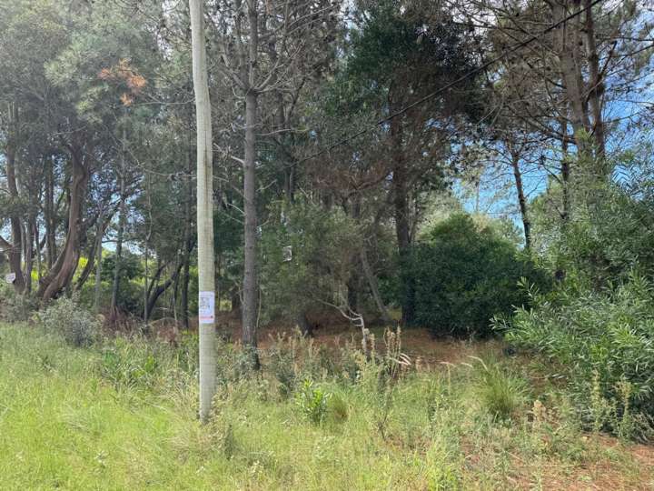 Terreno en venta en Durazno, Maldonado