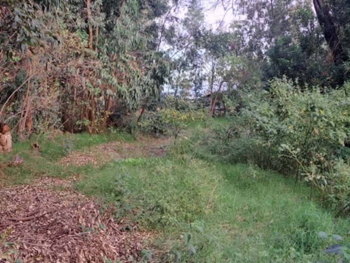 Terreno en venta en Durazno, Maldonado