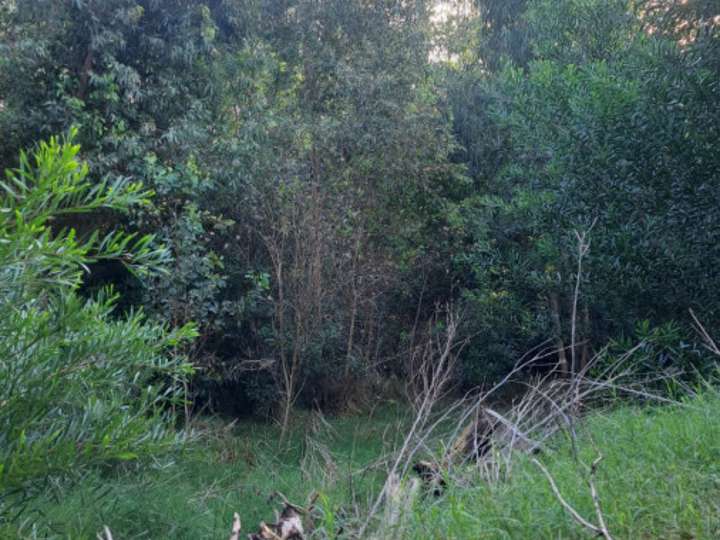 Terreno en venta en Durazno, Maldonado