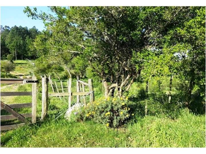 Granja en venta en Maldonado