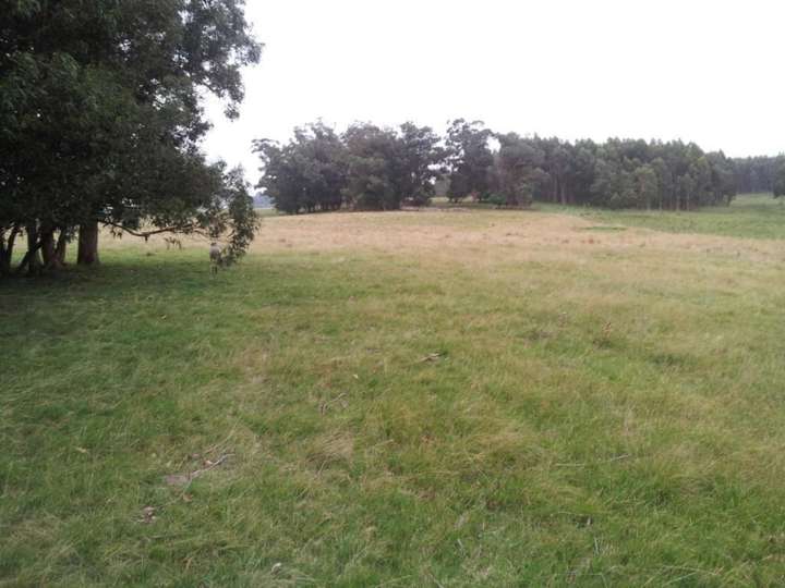 Granja en venta en Rocha