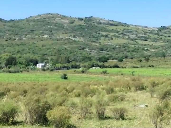 Granja en venta en Rambla General Artigas, Punta Del Este