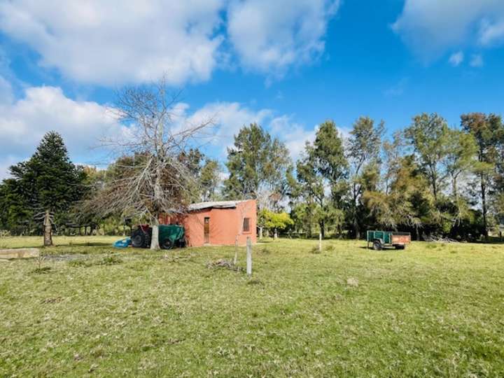 Granja en venta en Rambla General Artigas, Punta Del Este